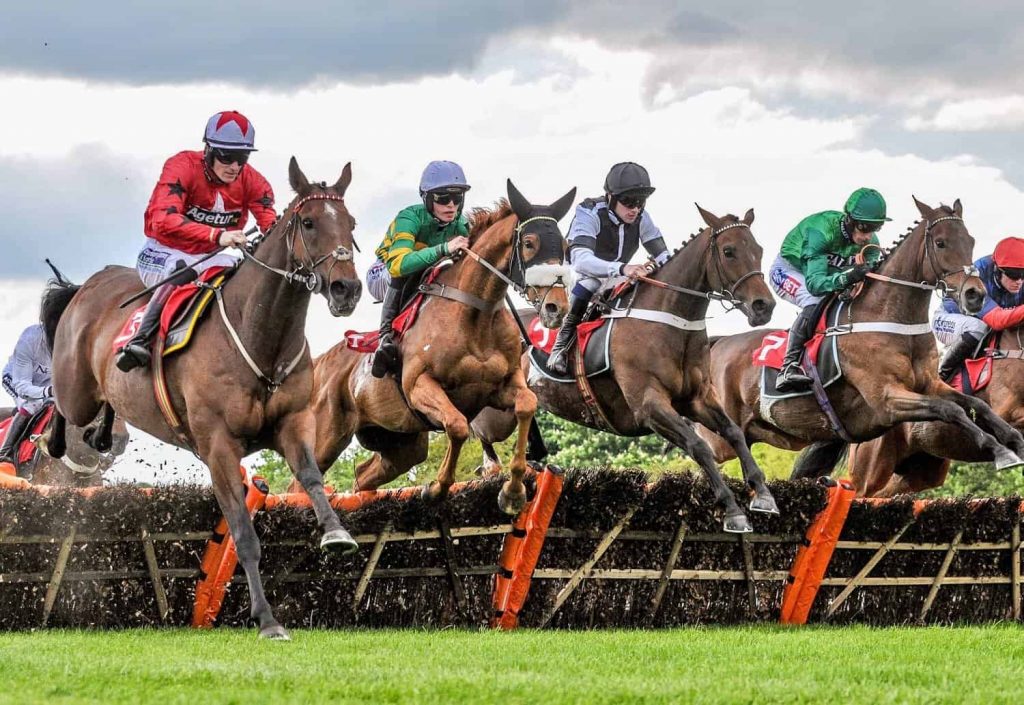 Horse racing bets in detail